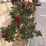 Appartement Santoni Vir